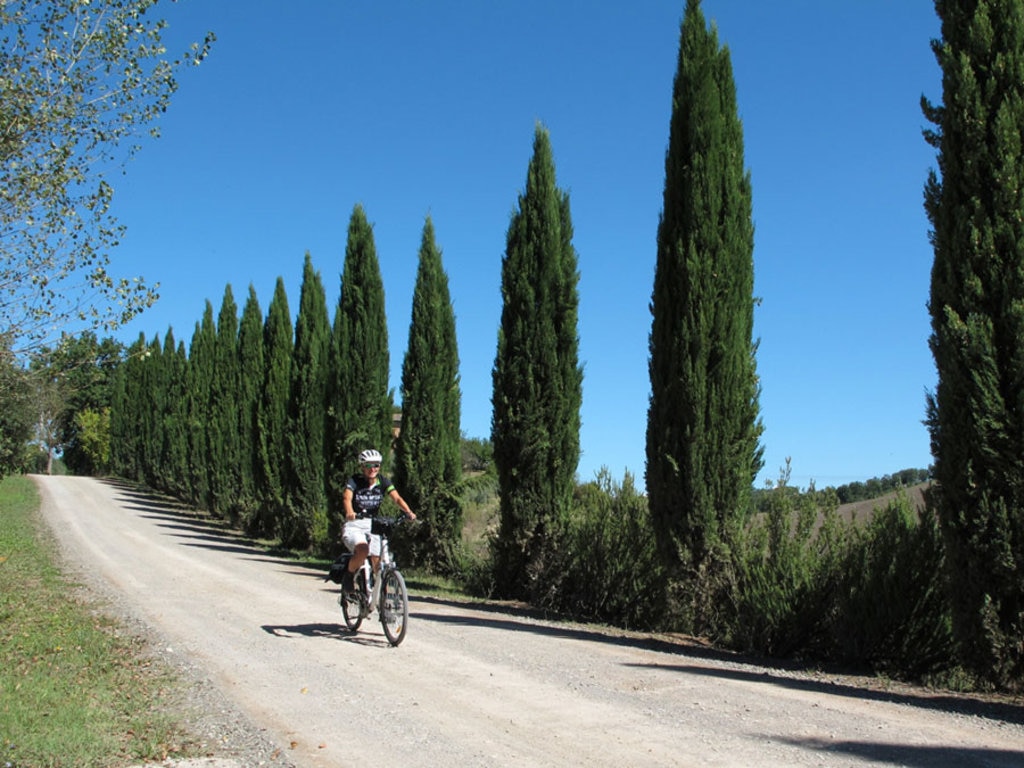 Via Francigena in bici: 4 tappe per un itinerario da cartolina tra Siena e  Viterbo